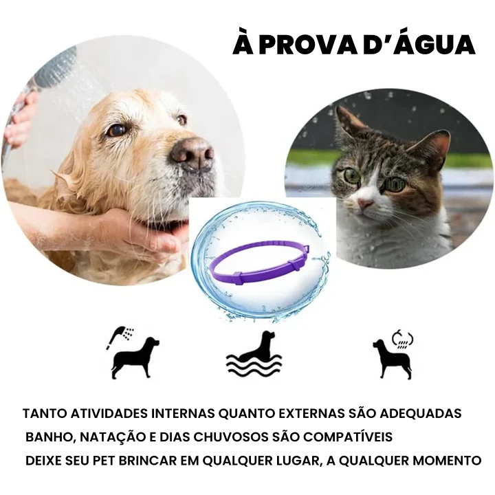 Kit Especial Cães e Gatos: Leve 2 Coleiras Calmantes Pelo Preço de 1 !