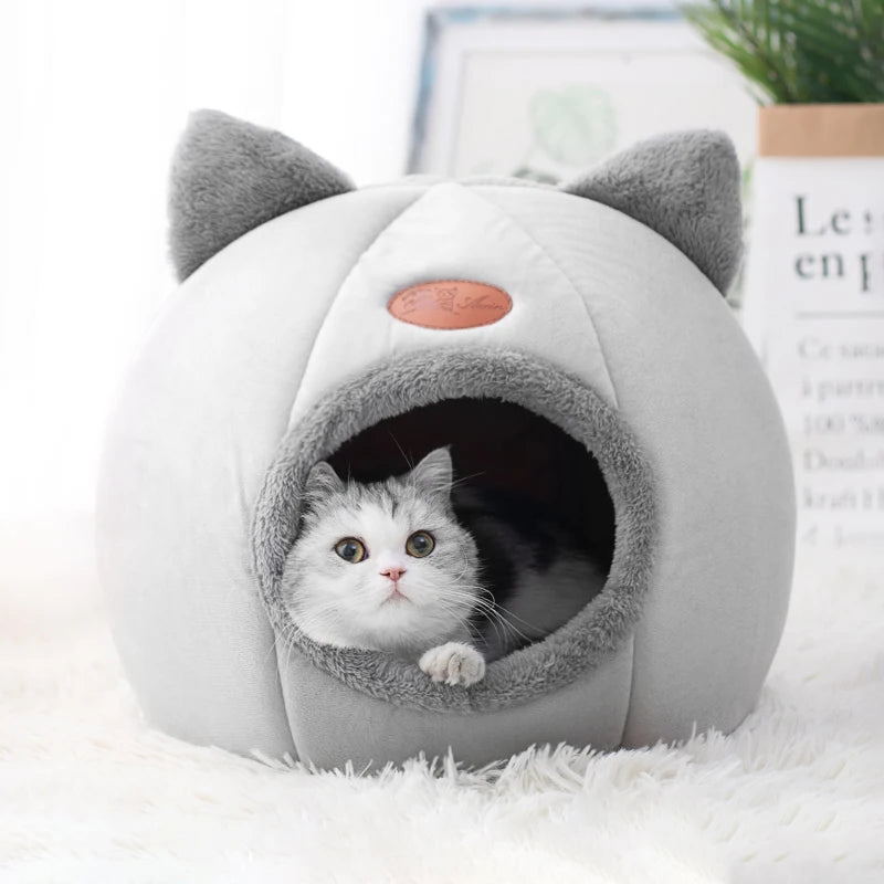 Caminha Formato de Gato