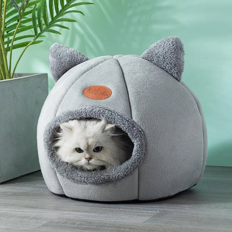 Caminha Formato de Gato