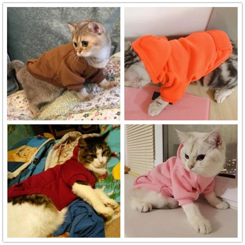 Moleton com Capuz Básico - Roupa para Cães e Gatos.