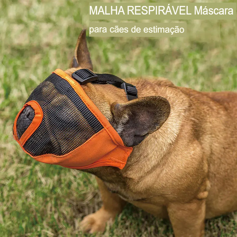 Focinheira para Cachorro com Focinho Curto