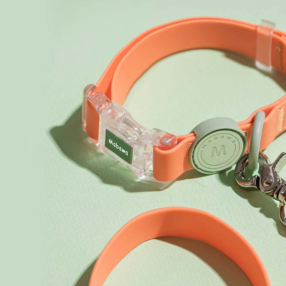 Conjunto - Coleira e Guia Candy Color para Pets