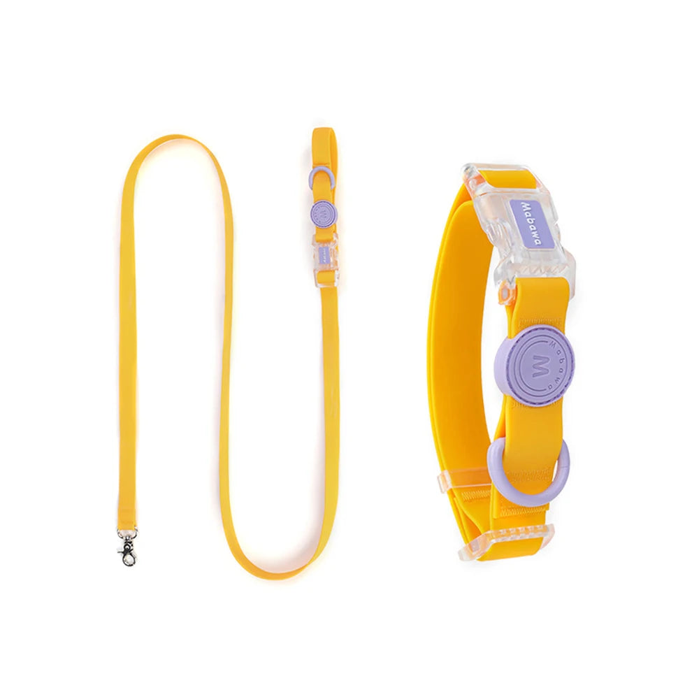 Conjunto - Coleira e Guia Candy Color para Pets