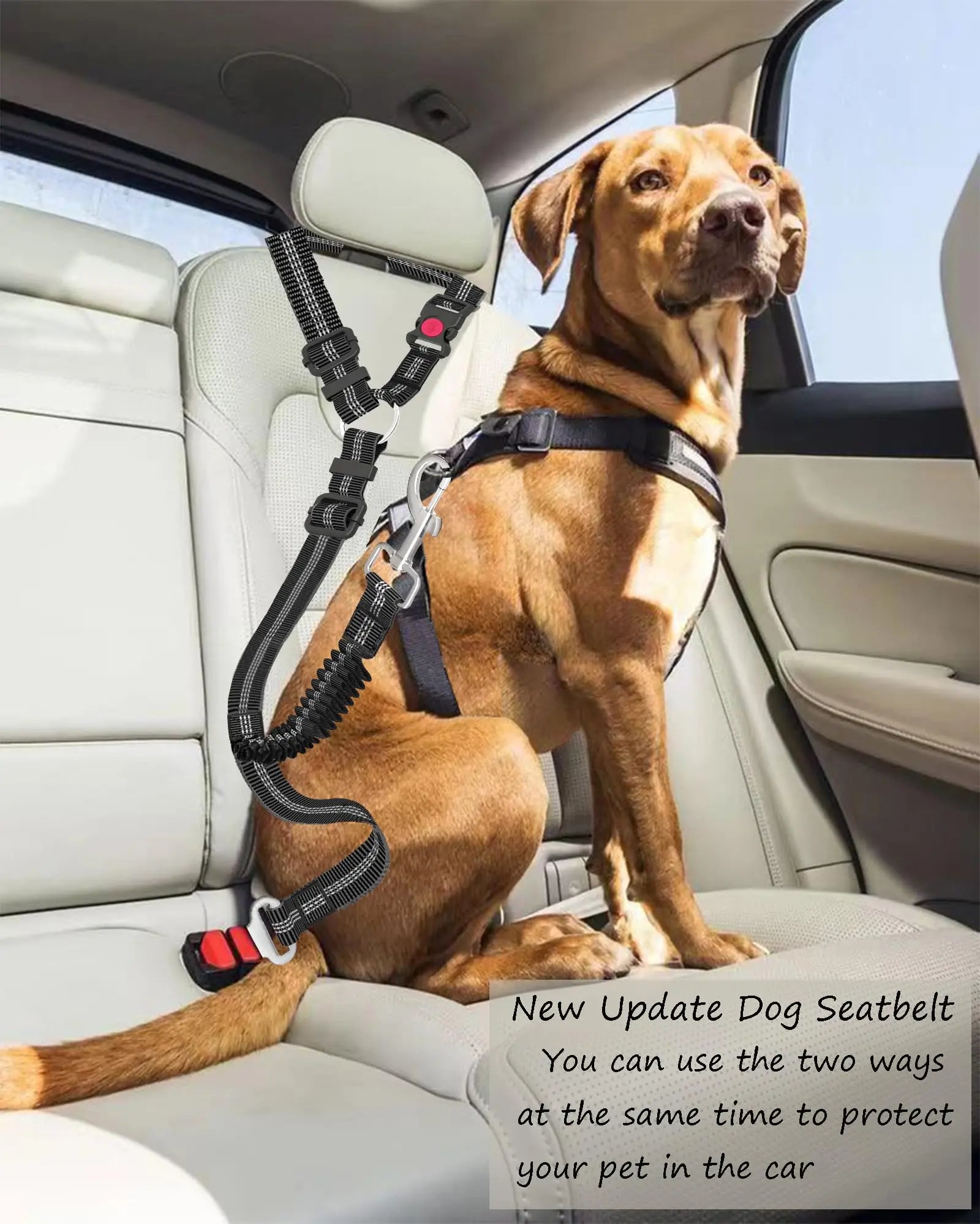 Cinto de Segurança de Carro para Cães – Ajustavel.