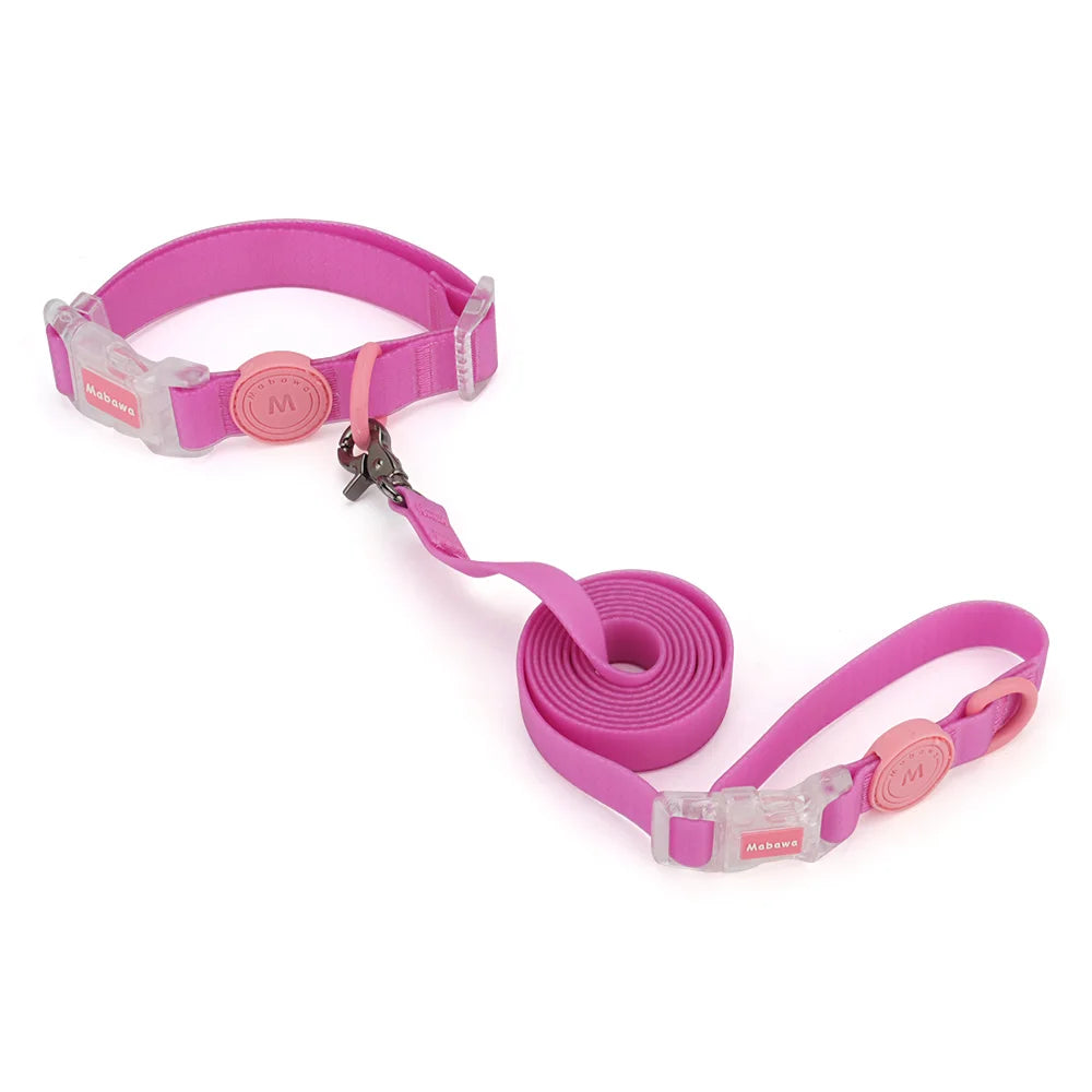 Coleira ou Conjunto Candy Color para Pets