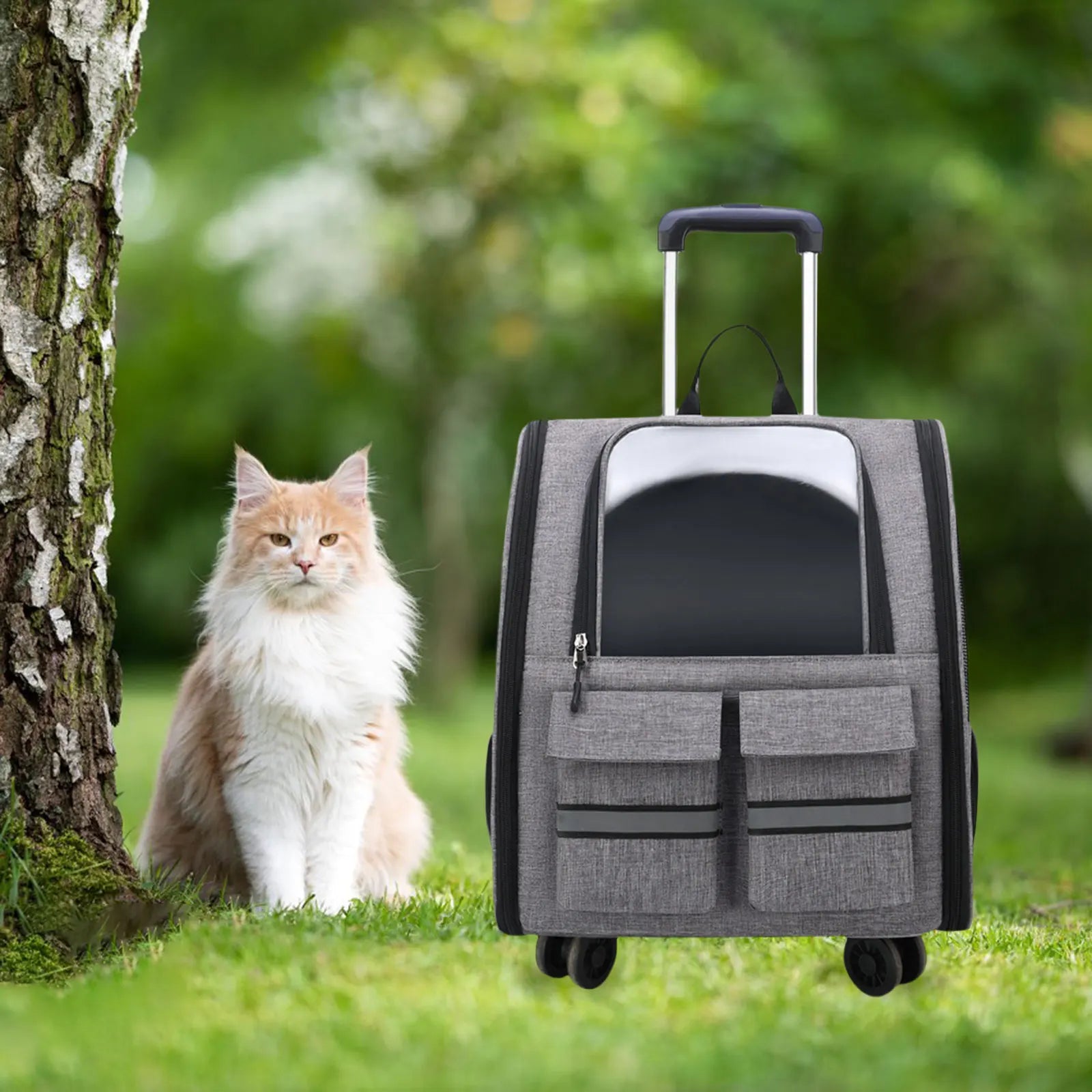 Maleta/Mochila Portátil de Carrinho Transparente para Transporte de Gatos e Cães