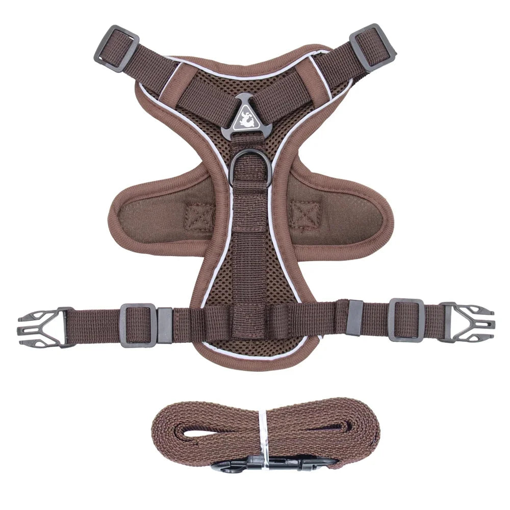 Conjunto de Arnês e Coleira para Pets - Refletivo para passeios noturnos