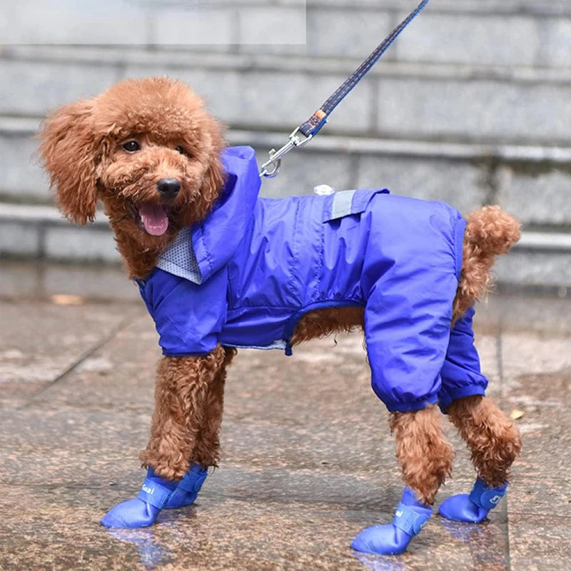 Botas Impermeáveis Antiderrapantes para Pets