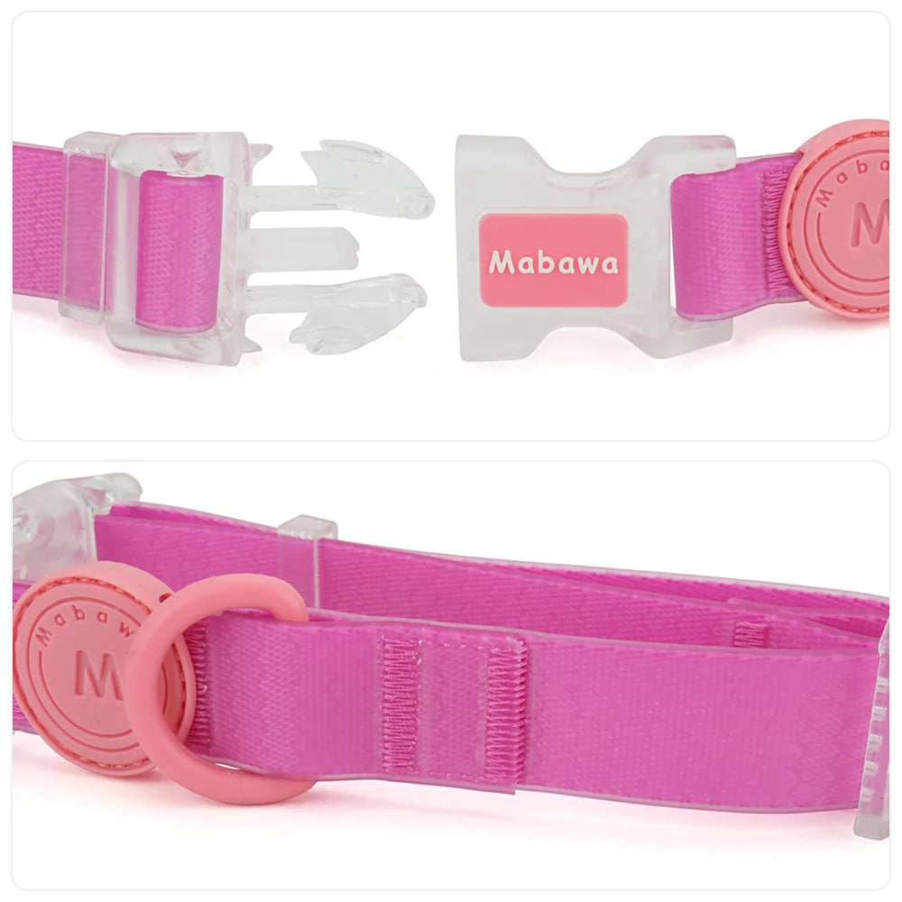 Coleira ou Conjunto Candy Color para Pets