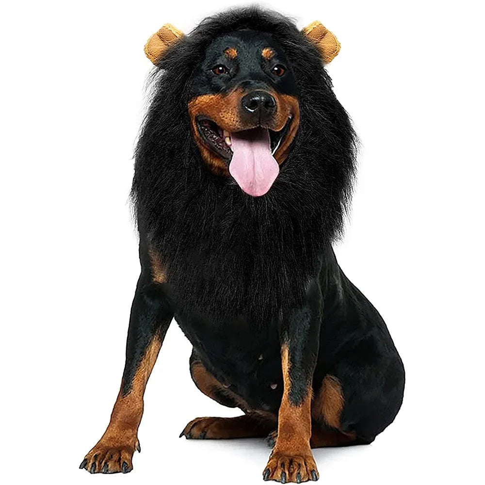 Peruca Crina de Leão para Pets – Transforme Seu Pet no Rei da Selva! 🦁