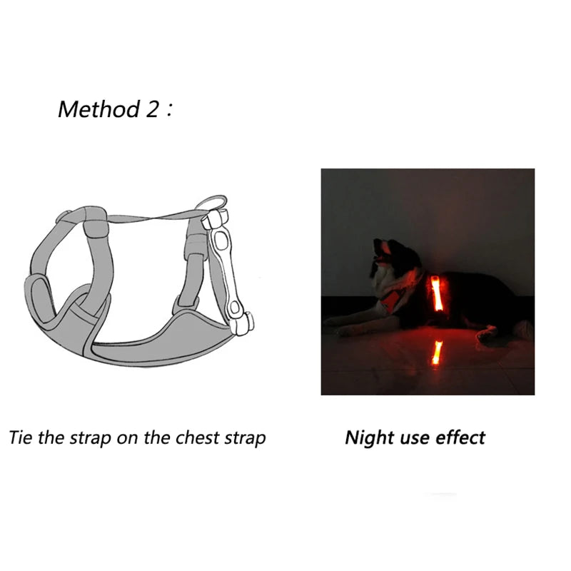 Correia para Coleira com Luz LED para Cães – Anti-perda.