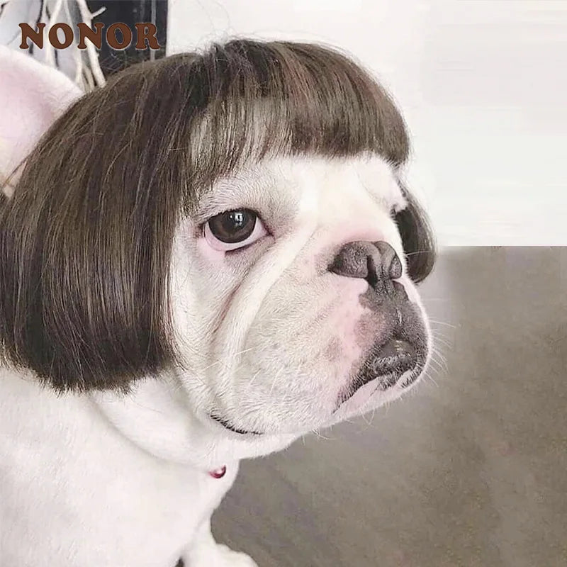 Peruca Divertida para Pets – Acessório Cosplay para Cães e Gatos