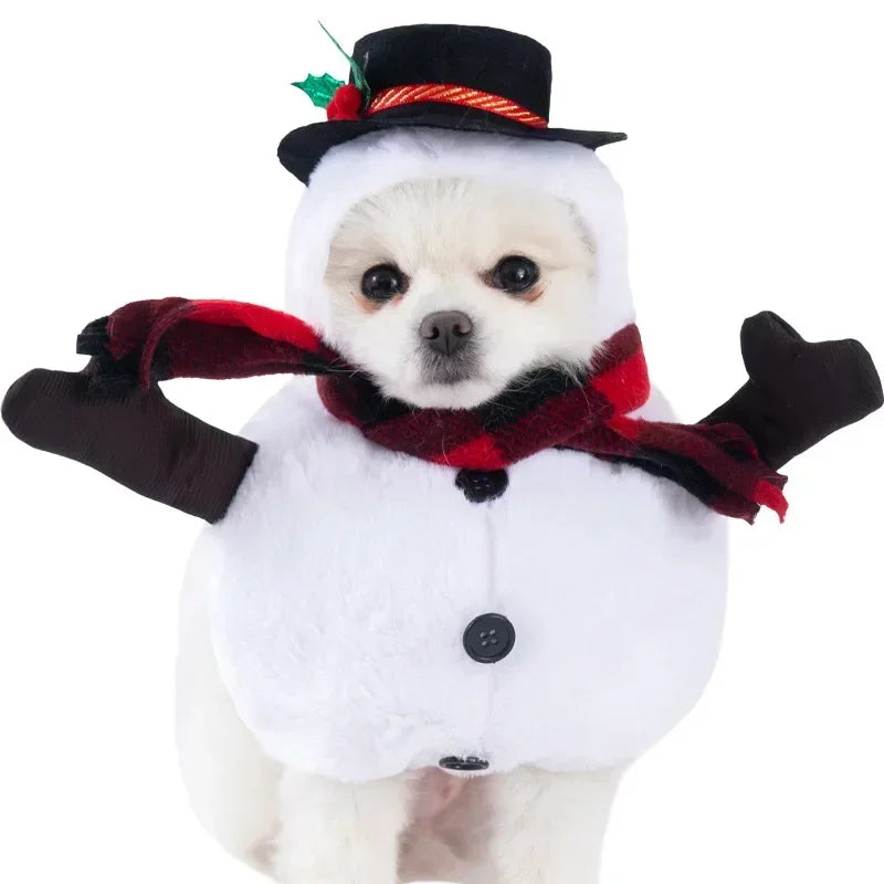 Fantasias Divertidas – Roupas Temáticas para Cães e Gatos