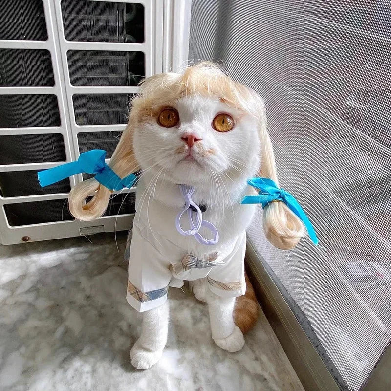 Perucas Divertidas – Acessórios para Cães e Gatos