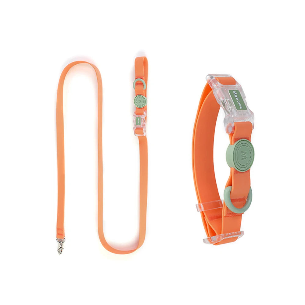 Conjunto - Coleira e Guia Candy Color para Pets