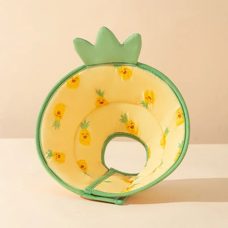 Colar Elizabetano Fantasia – Para Pets se Recuperarem com Estilo