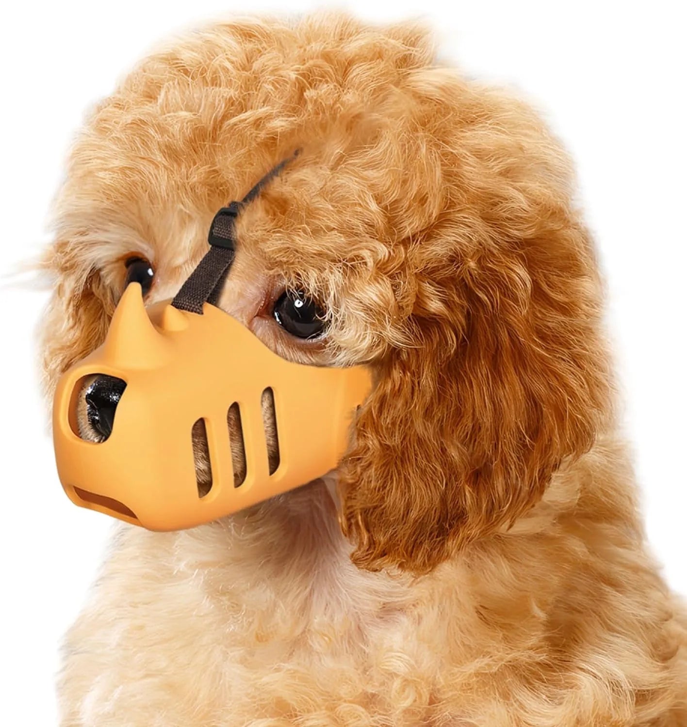 Focinheira para Cães