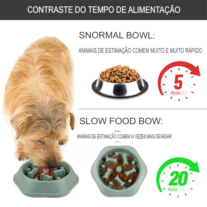Tigela de Alimentação Lenta
