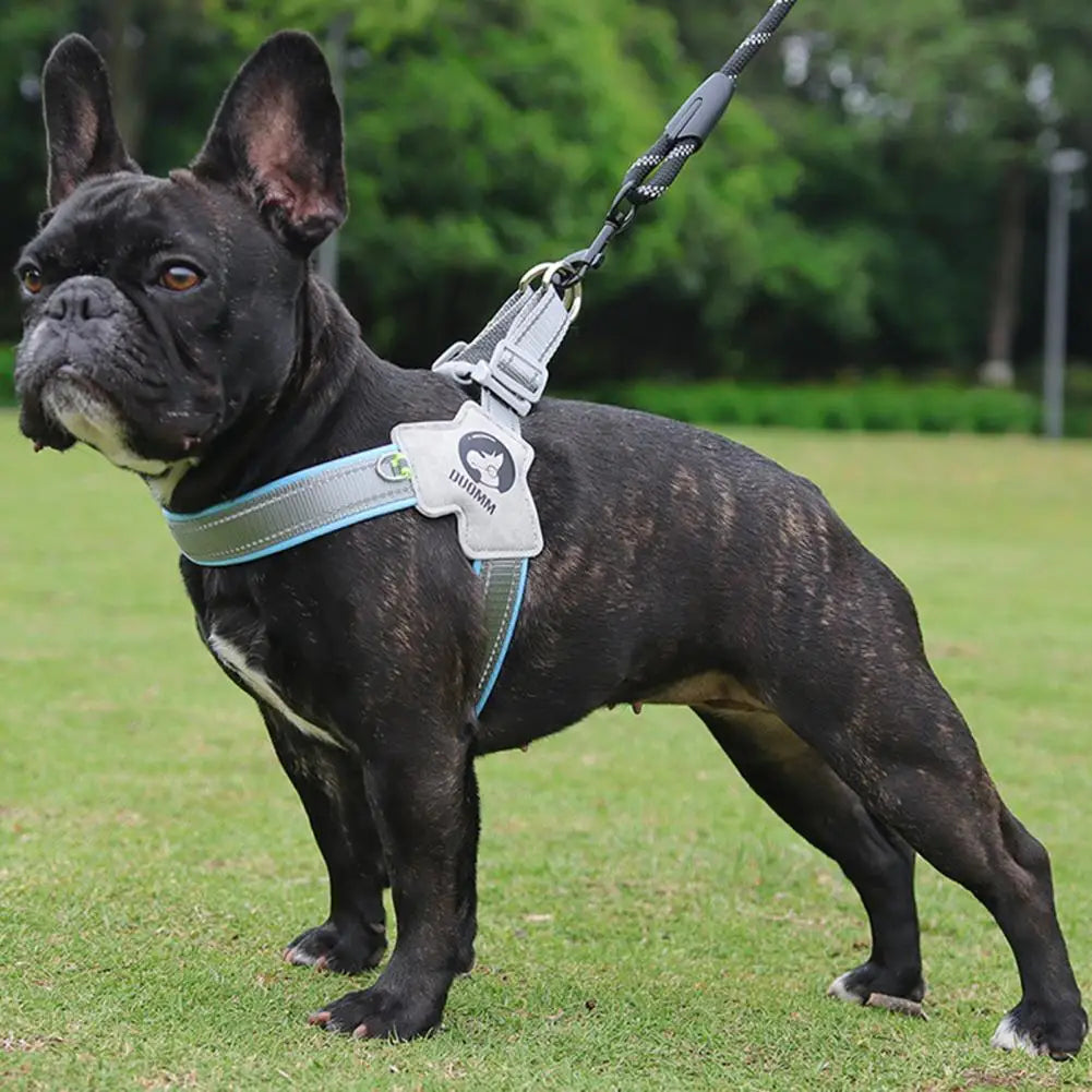 Coleira Peitoral para Cachorro