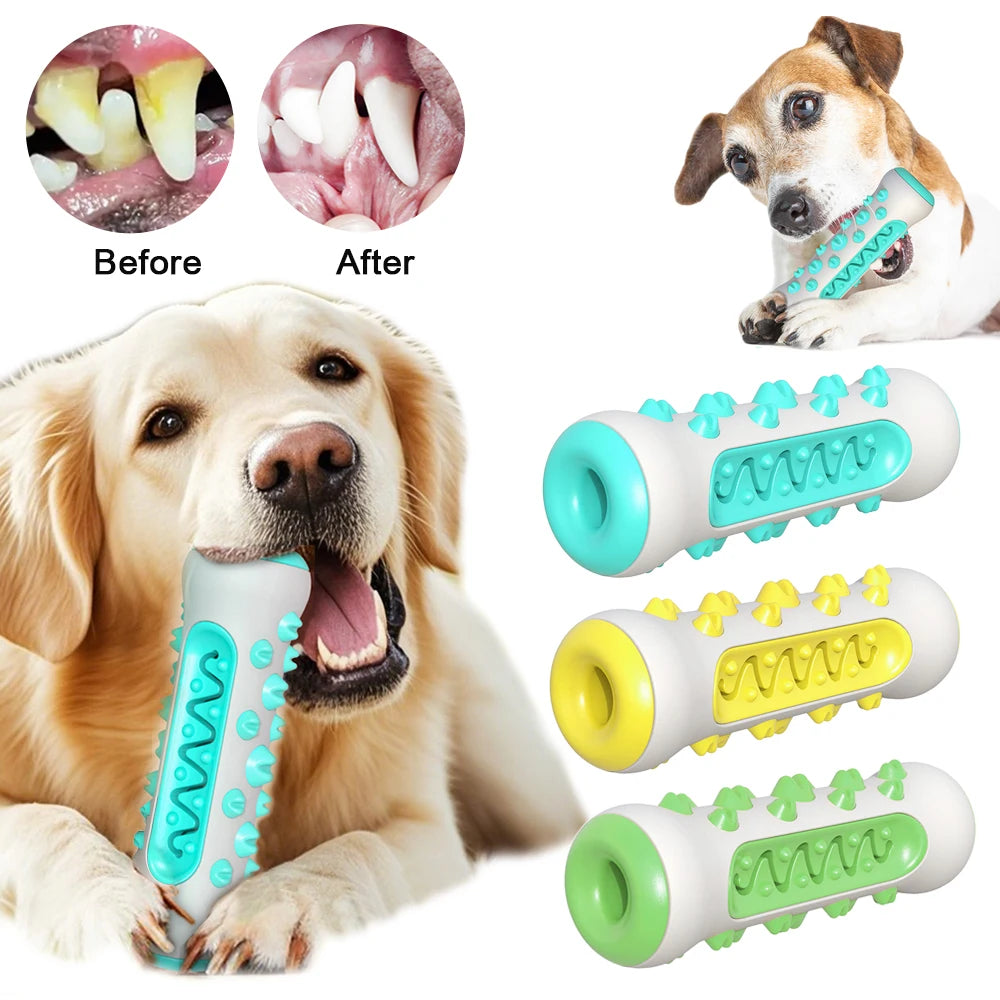 Brinquedo Interativo para Higiene Bucal de Cães