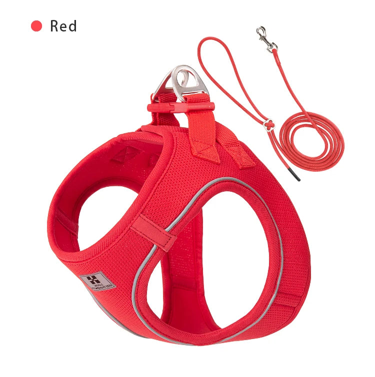 Conjunto de Coleira Ajustável para Cães Pequenos/Médios e Gatos