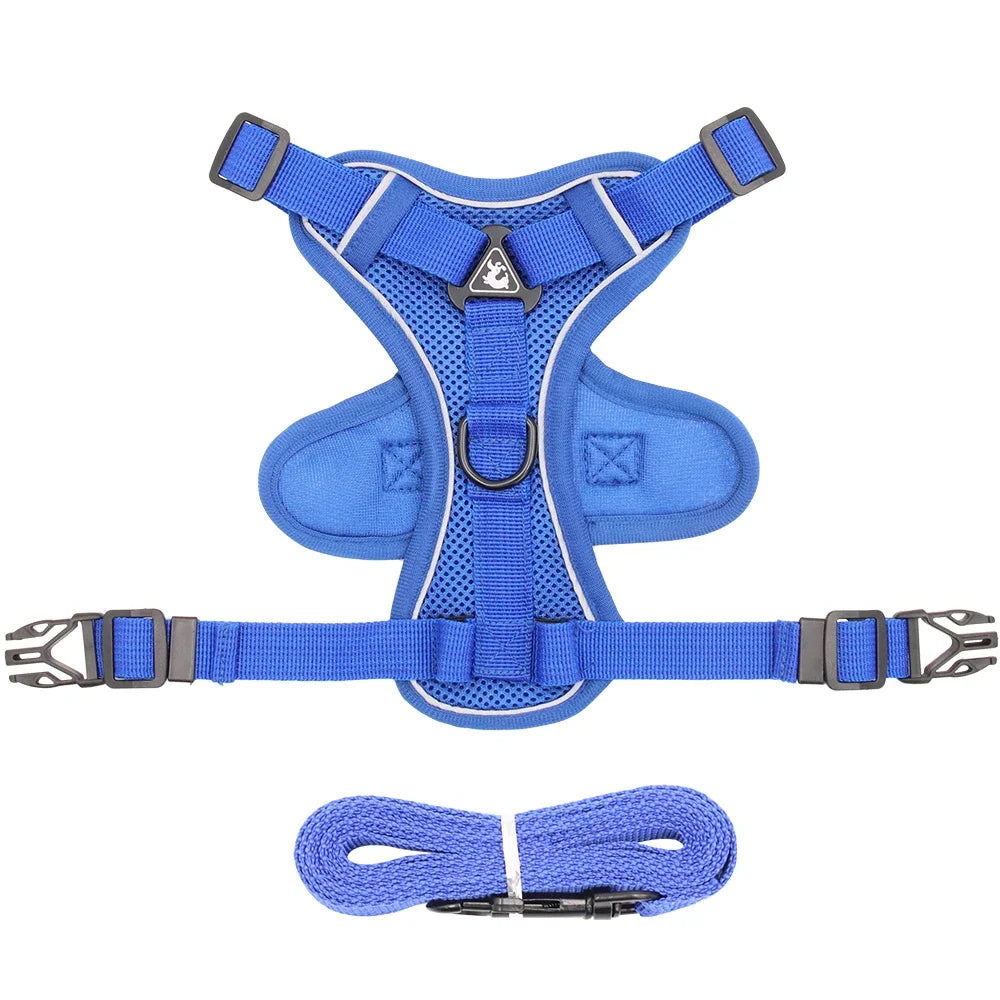 Conjunto de Arnês e Coleira para Pets - Refletivo para passeios noturnos