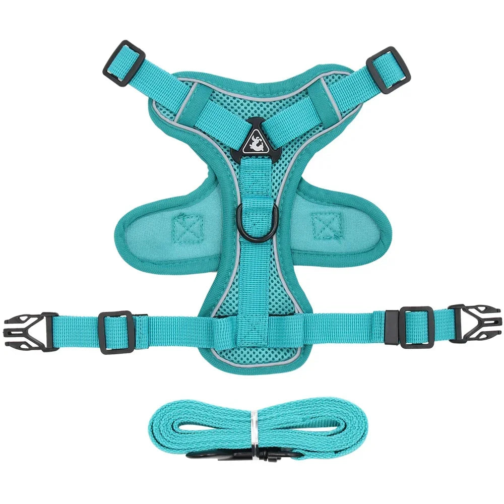 Conjunto de Arnês e Coleira para Pets - Refletivo para passeios noturnos