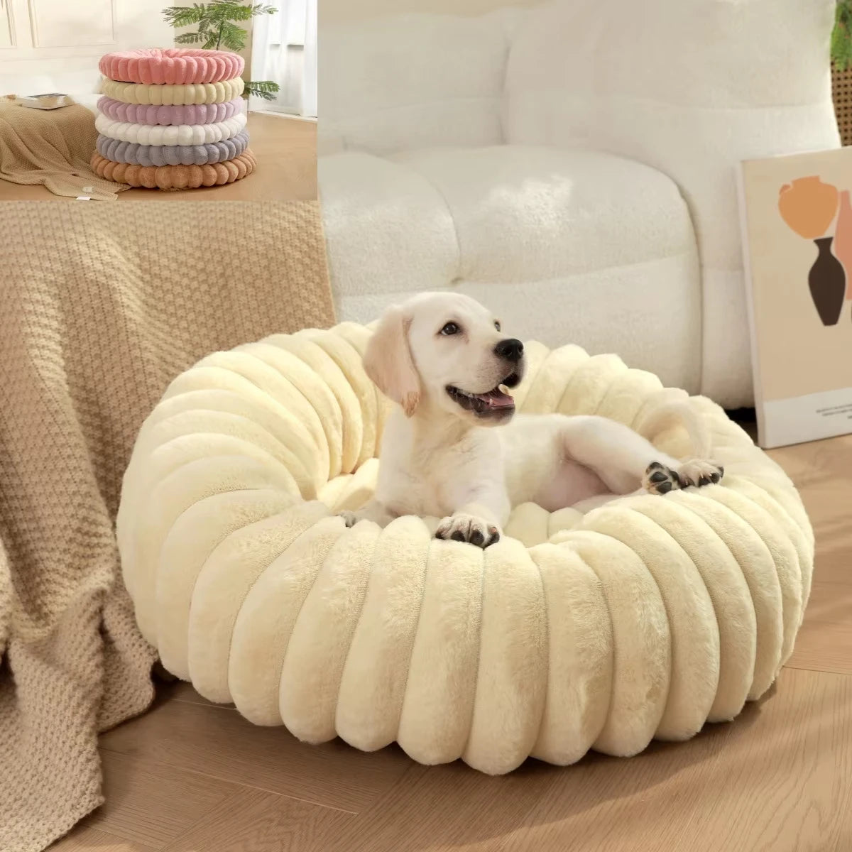 Caminha Circular para Cães