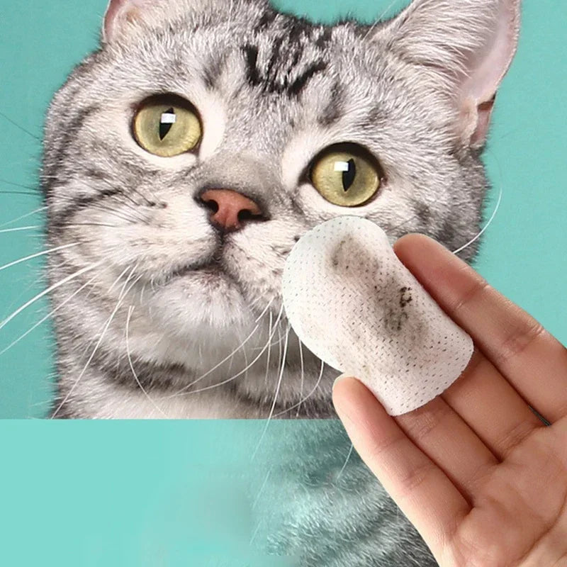 Lenços Umedecidos para Limpeza de Olhos de Pet