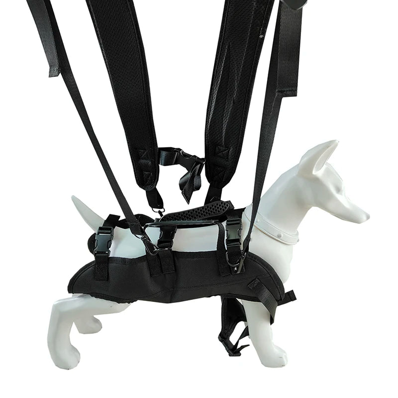 Colete Transportador para Pets – Mochila de Transporte com Suporte de Quatro Patas