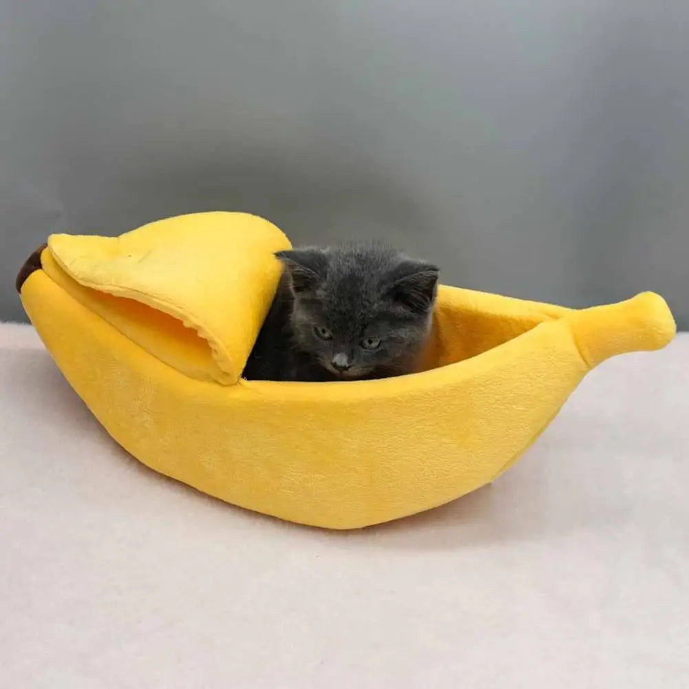Caminha Banana para Pequenos Cães e Gatos