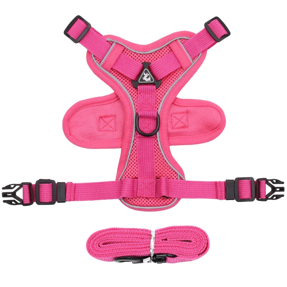 Conjunto de Arnês e Coleira para Pets - Refletivo para passeios noturnos