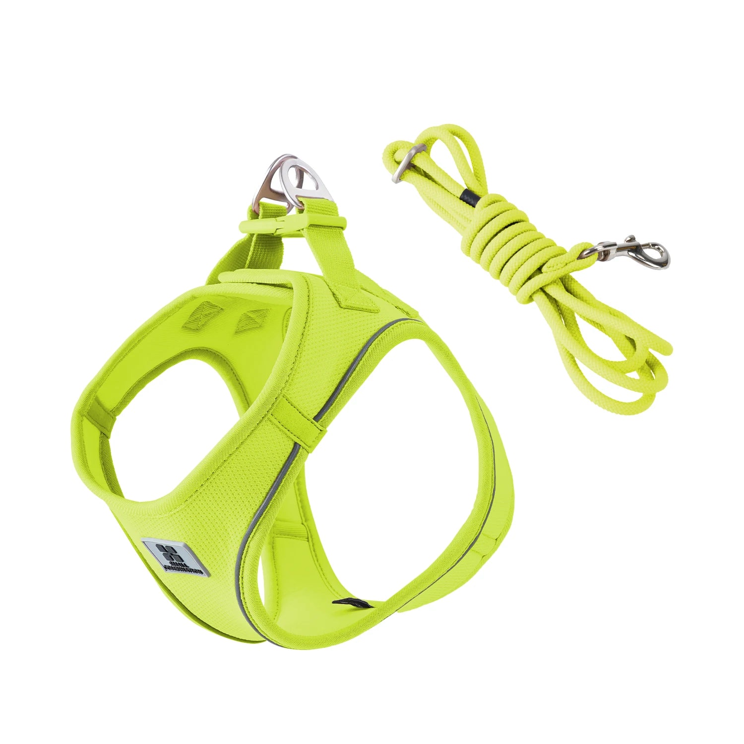 Conjunto de Coleira Ajustável para Cães Pequenos/Médios e Gatos