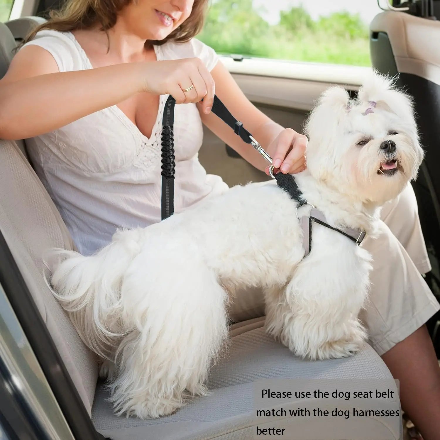 Cinto de Segurança de Carro para Cães – Ajustavel.