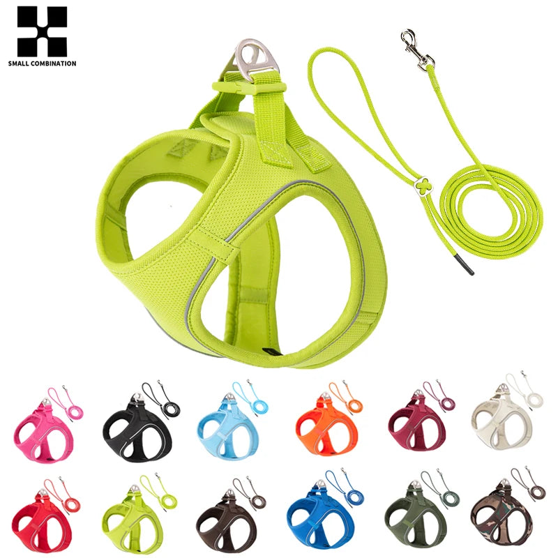 Conjunto de Coleira Ajustável para Cães Pequenos/Médios e Gatos