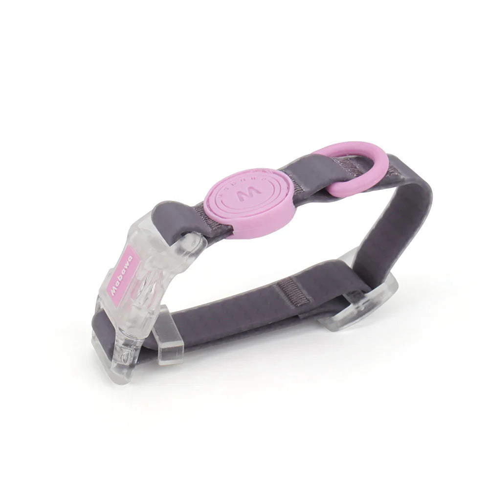 Coleira ou Conjunto Candy Color para Pets