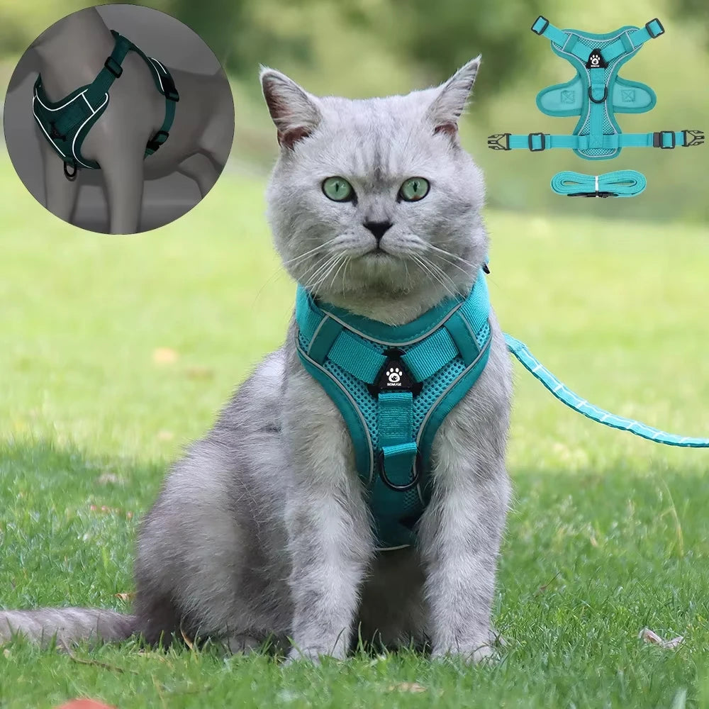 Conjunto de Arnês e Coleira para Pets - Refletivo para passeios noturnos