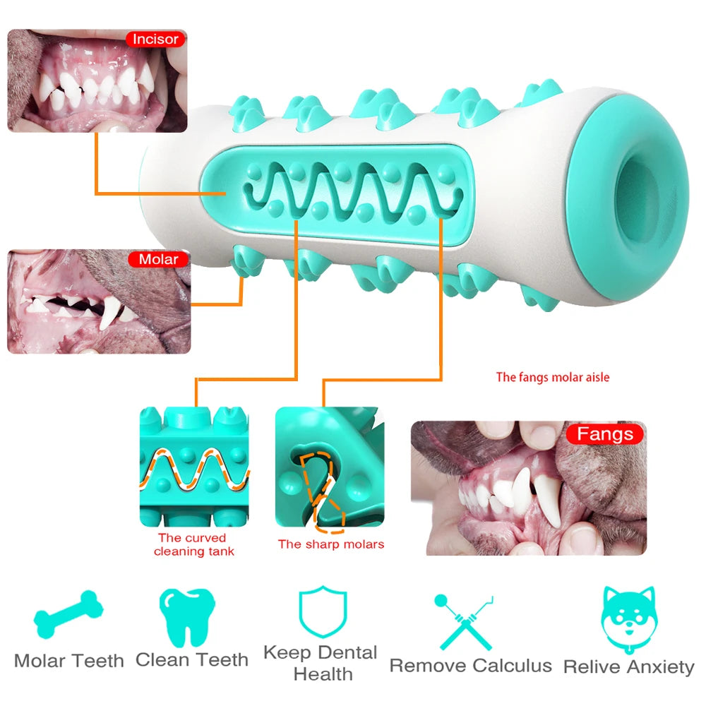 Brinquedo Interativo para Higiene Bucal de Cães