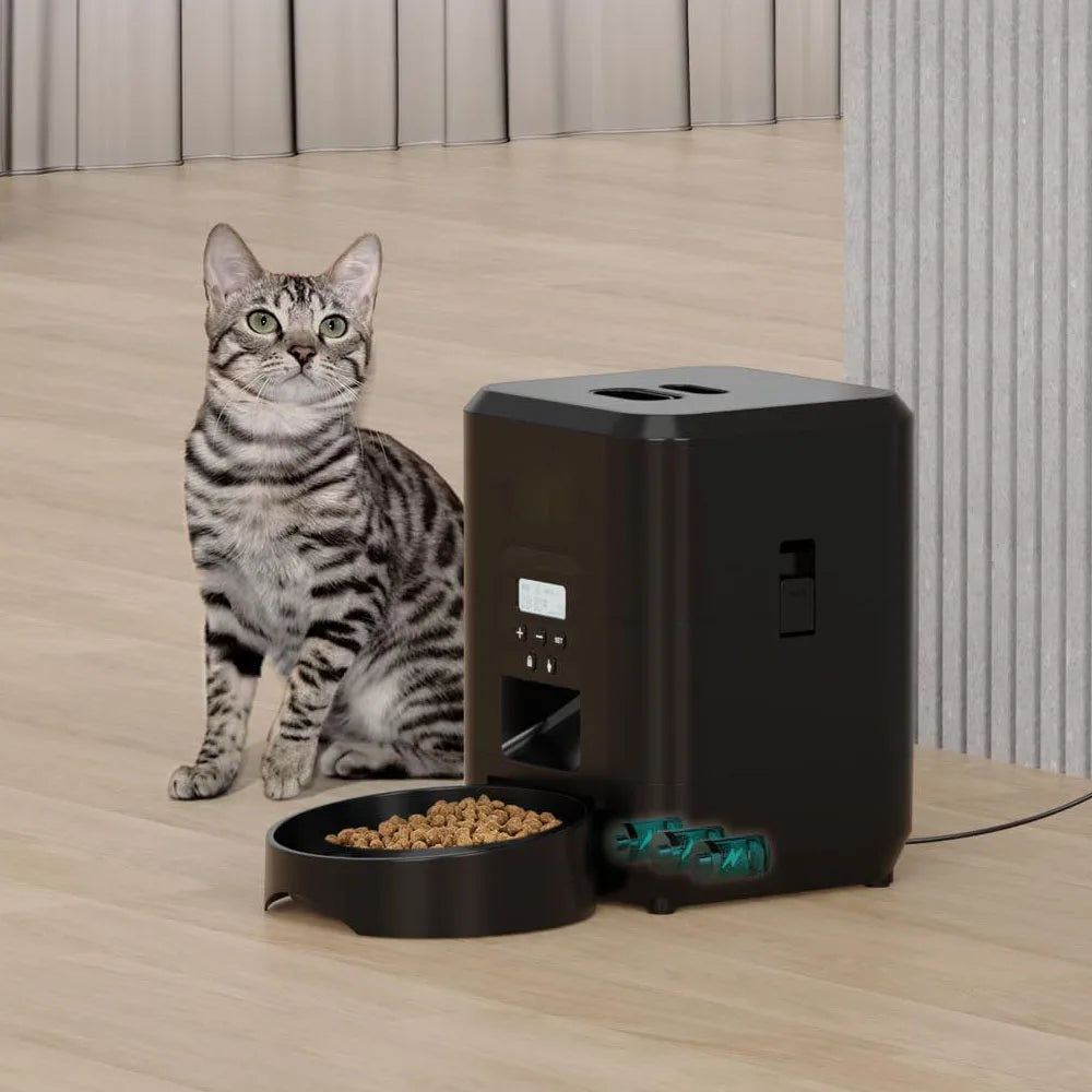 Alimentador Automático