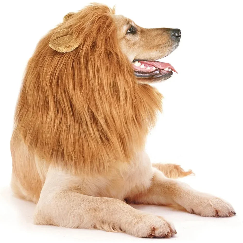 Peruca Crina de Leão para Pets – Transforme Seu Pet no Rei da Selva! 🦁
