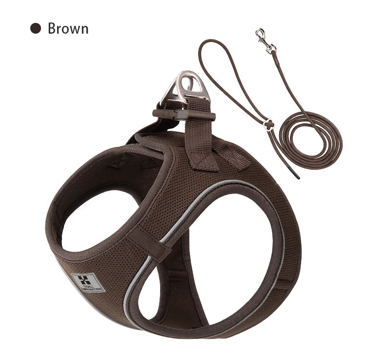 Conjunto de Coleira Ajustável para Cães Pequenos/Médios e Gatos