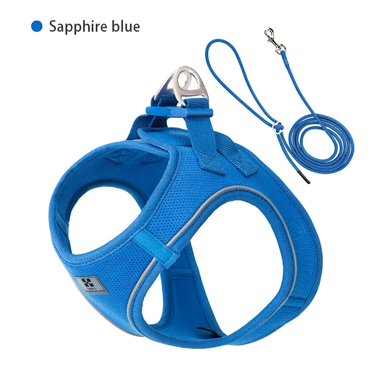 Conjunto de Coleira Ajustável para Cães Pequenos/Médios e Gatos