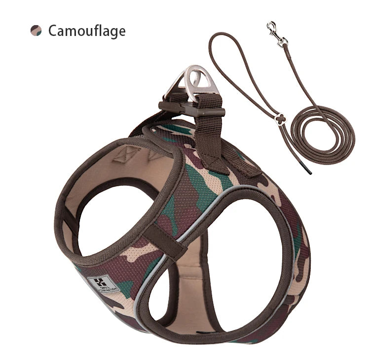 Conjunto de Coleira Ajustável para Cães Pequenos/Médios e Gatos