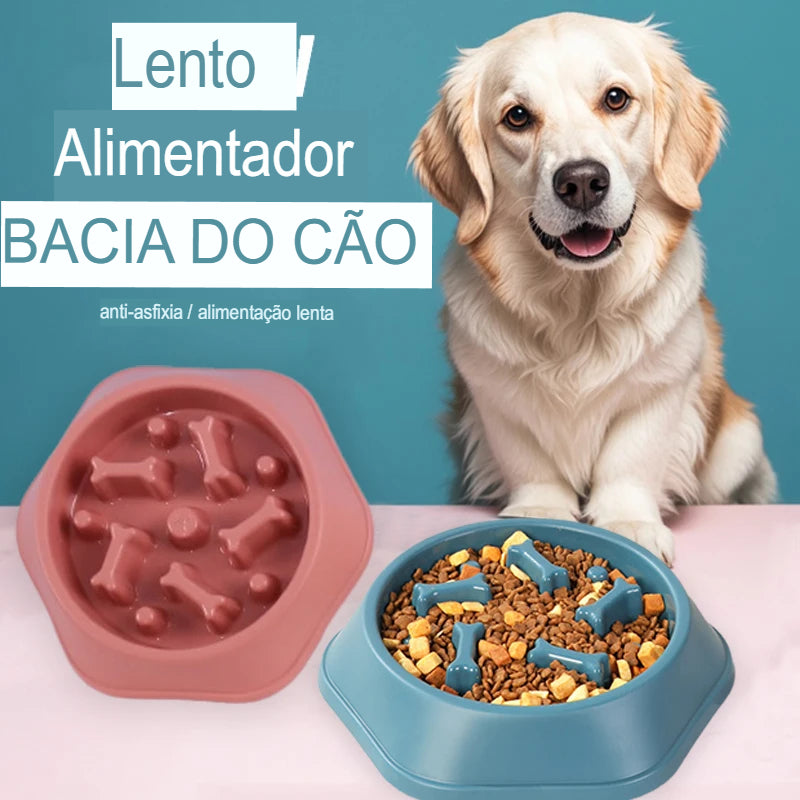 Tigela de Alimentação Lenta