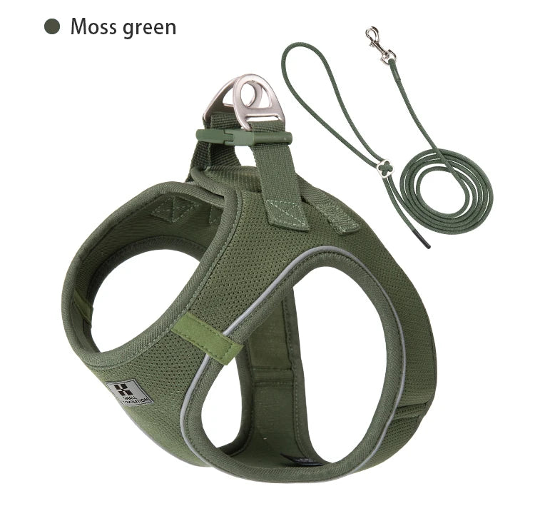 Conjunto de Coleira Ajustável para Cães Pequenos/Médios e Gatos