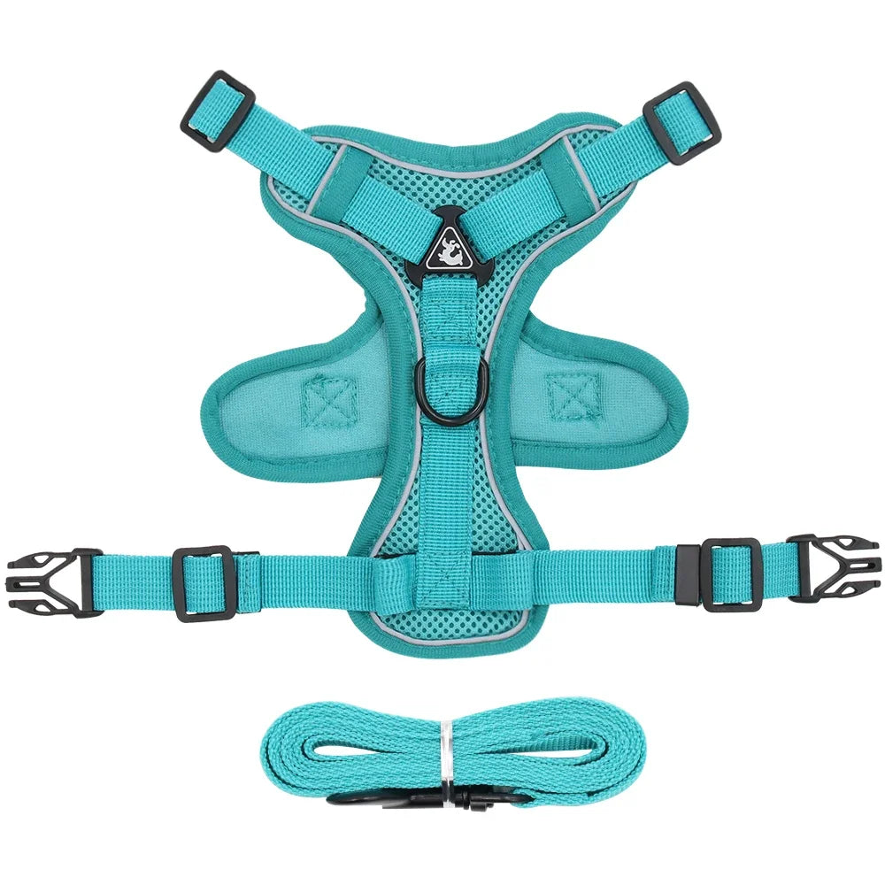 Conjunto de Arnês e Coleira para Pets - Refletivo para passeios noturnos
