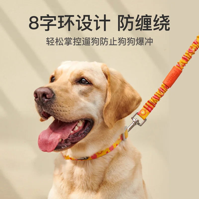 Guia - Coleira Elástica para Cães com Absorção de Impacto