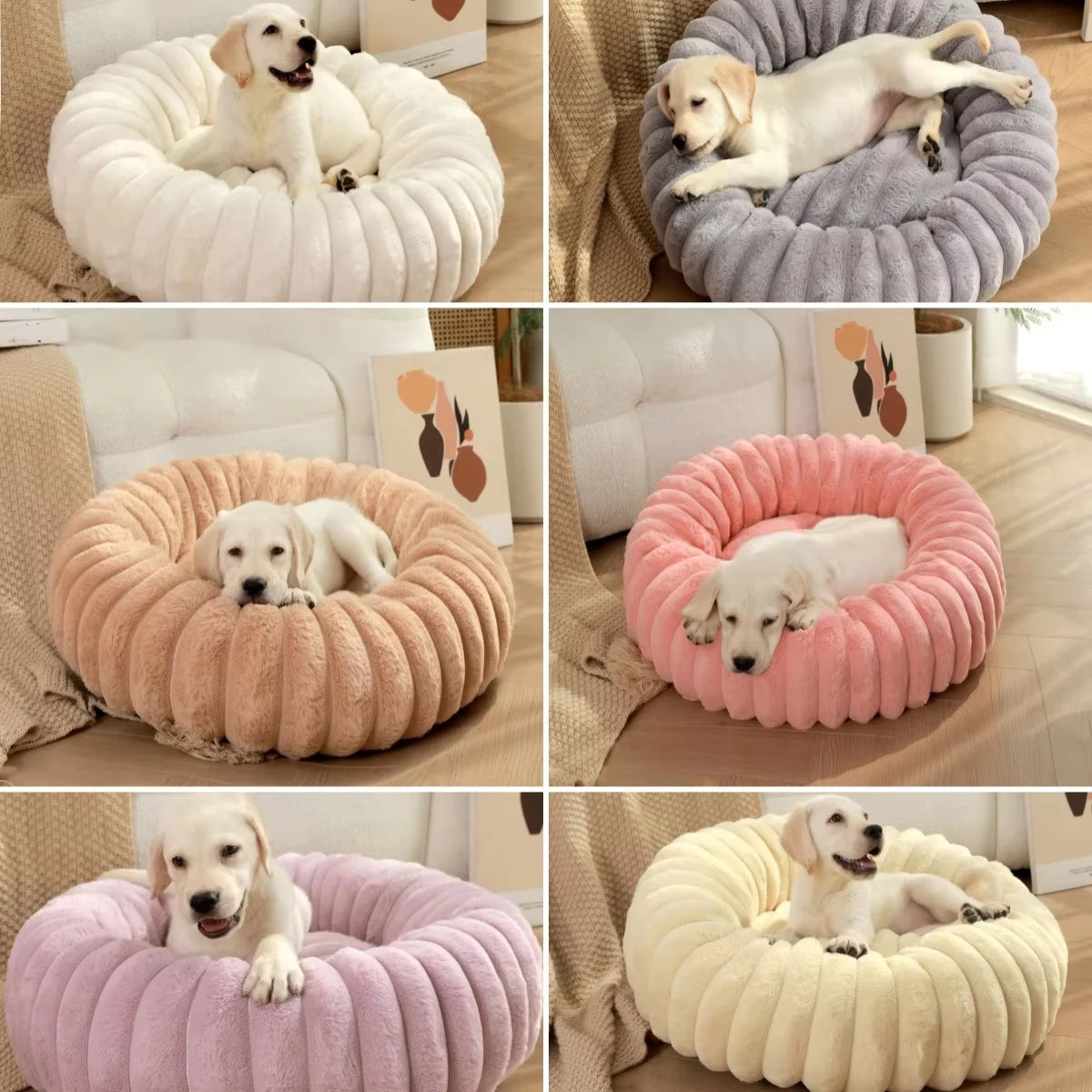 Caminha Circular para Cães