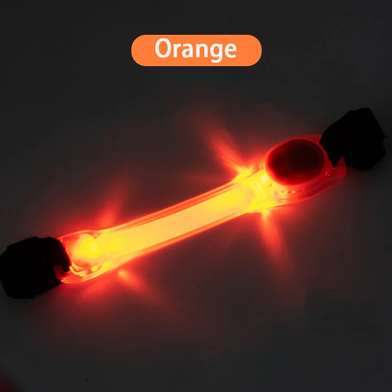 Correia para Coleira com Luz LED para Cães – Anti-perda.