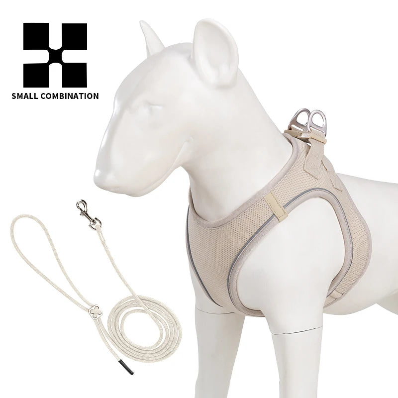 Conjunto de Coleira Ajustável para Cães Pequenos/Médios e Gatos